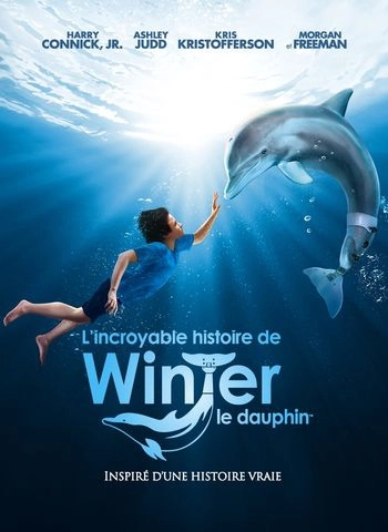 L'incroyable histoire de Winter le dauphin