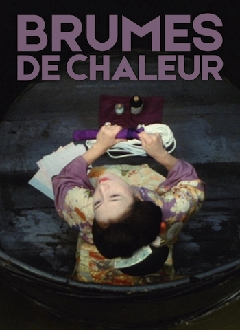 Brumes de chaleur