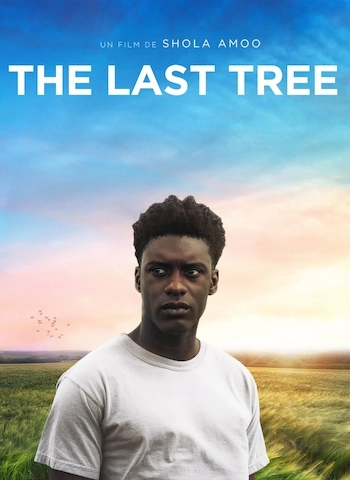 The Last Tree