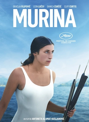 Murina