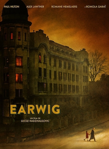 Earwig